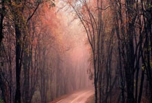 多多28官网：第5席8强诞生！雷佩凡不敌小特：世界第1轰6-2，.