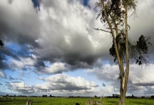 [国足]国足公布2025年首次集训名单.