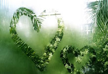 布拉伊达：阿莱格里已经很了解米兰，这是他的优势.