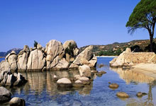 多多28官网：第5席8强诞生！雷佩凡不敌小特：世界第1轰6-2，.